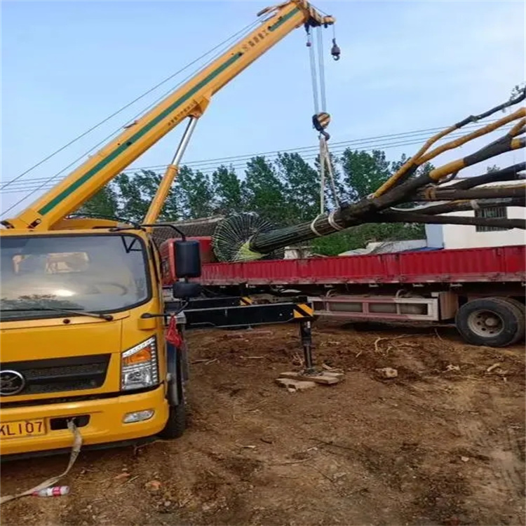 高场办事处100吨吊车租赁费用怎么算？3大关键因素+省钱技巧全解析